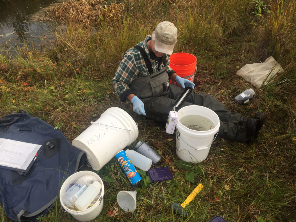 ecologist gathering data on captured salmon fry