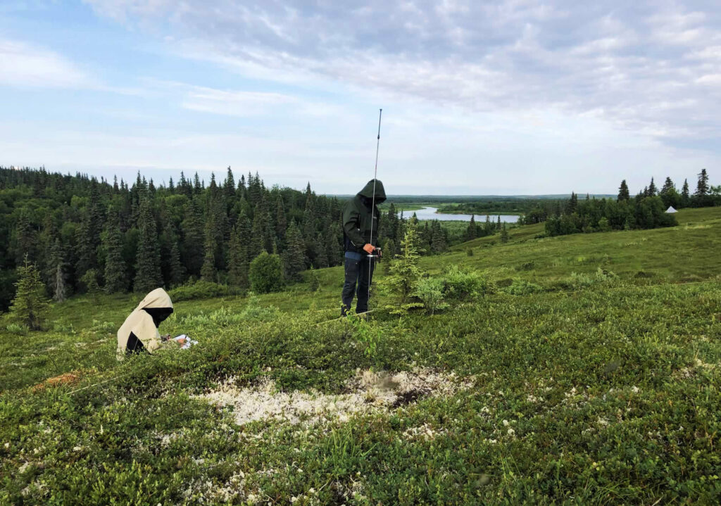 ecologists sample vegetation using line-point intercept method