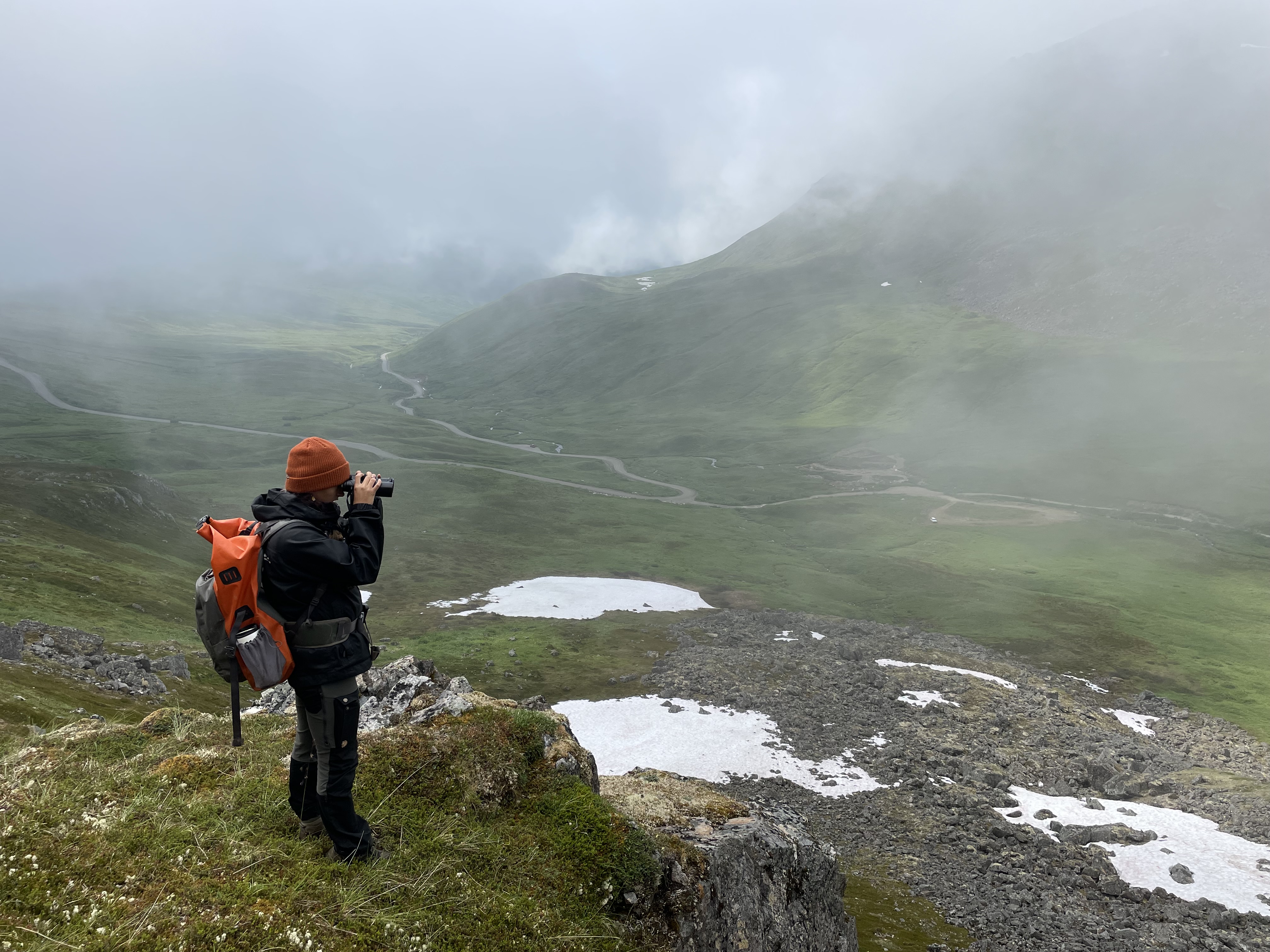 Biologist standing at the top of a hill looking for pika with her binoculars