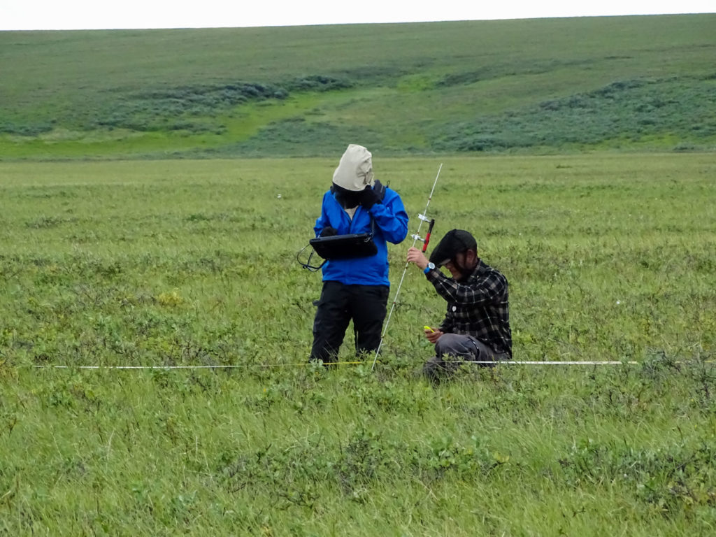 ecologists monitoring vegetation on North Slope