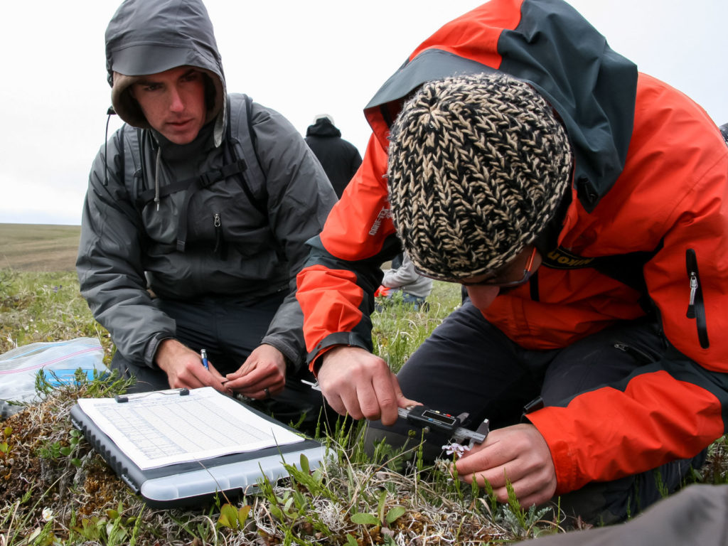 botanists collecting data on plant reproductive morphology