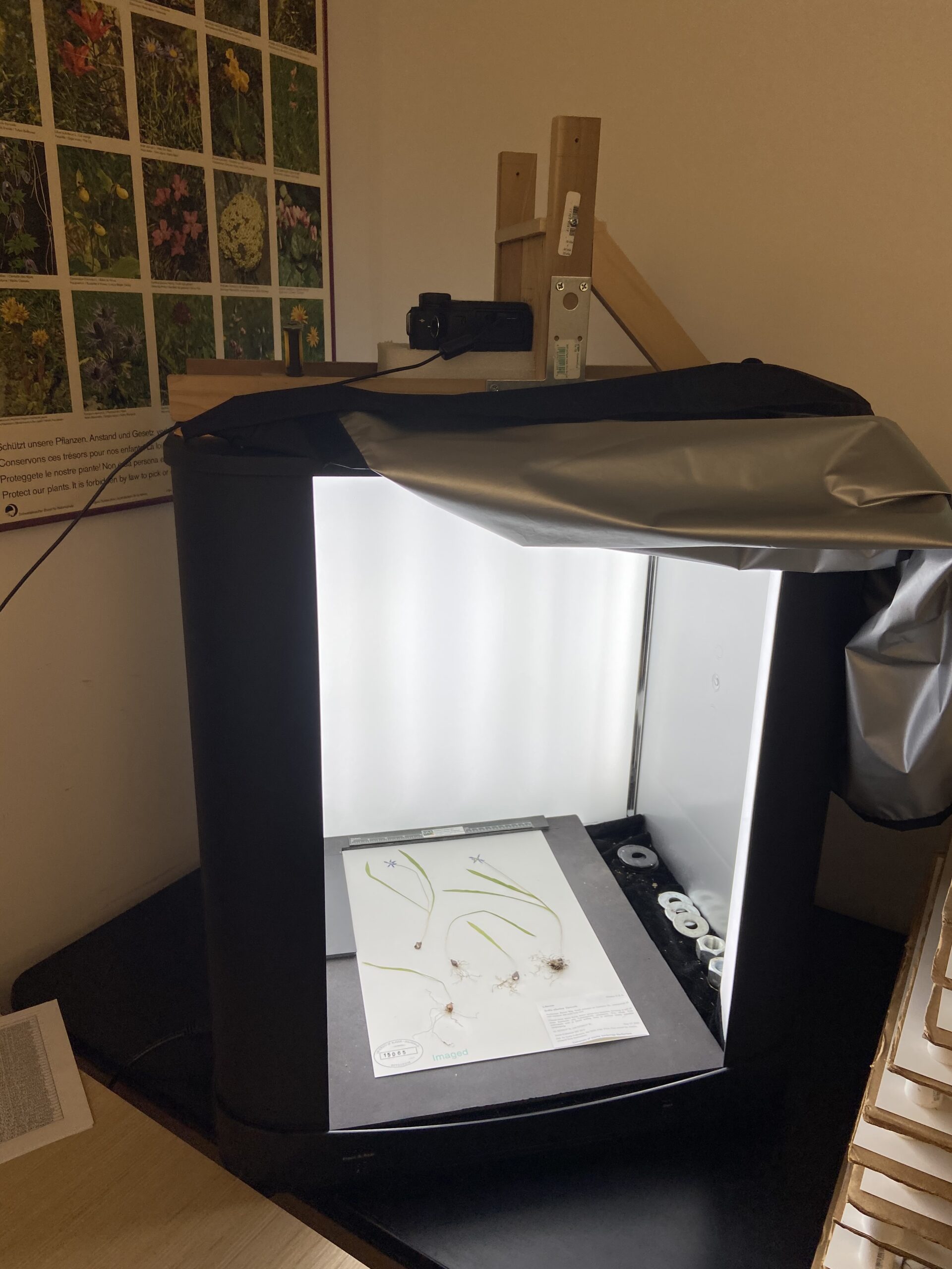 photo light booth to image herbarium specimens