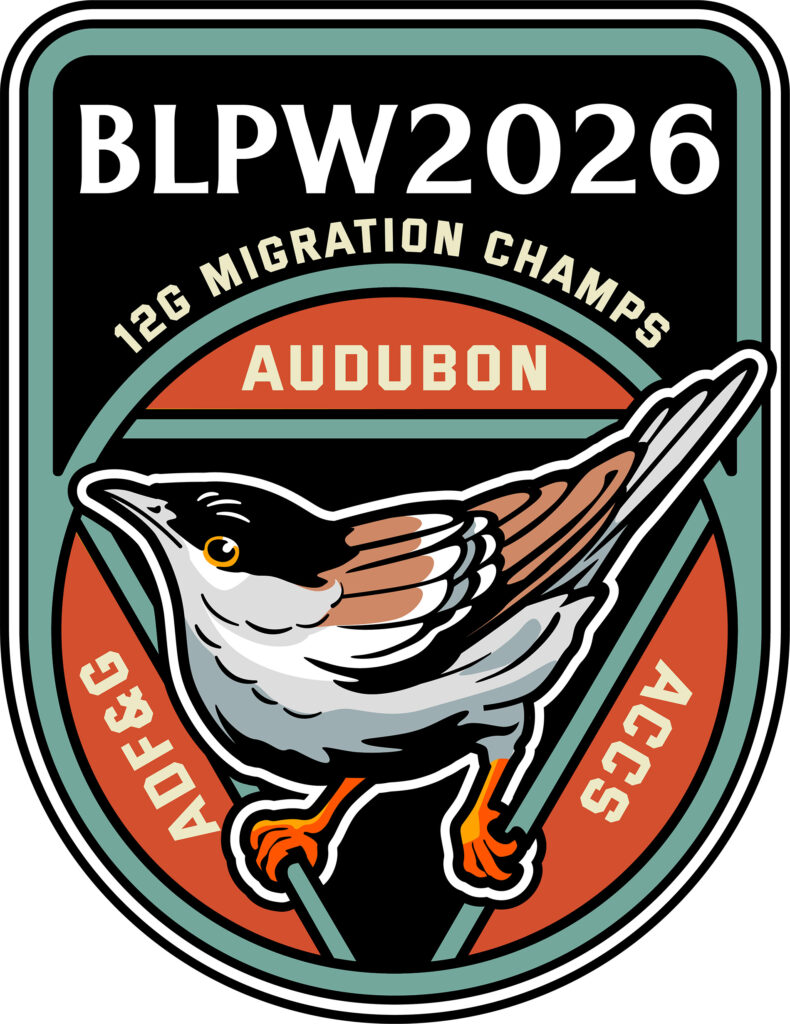 Logo for the Blackpoll Warbler (BLPW) 2026 project, with project partners Audubon, ACCS, and ADF&G. "12G Migration Champs" is written above a stylized drawing of the bird, in reference to the bird's small size (12 grams) and impressive migration distance. Designed by Brian Masangkay.