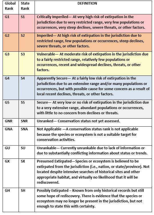 table describing the ranking definitions for NatureServe